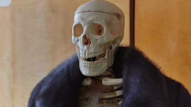 Skeleton dressed up Getty IMages