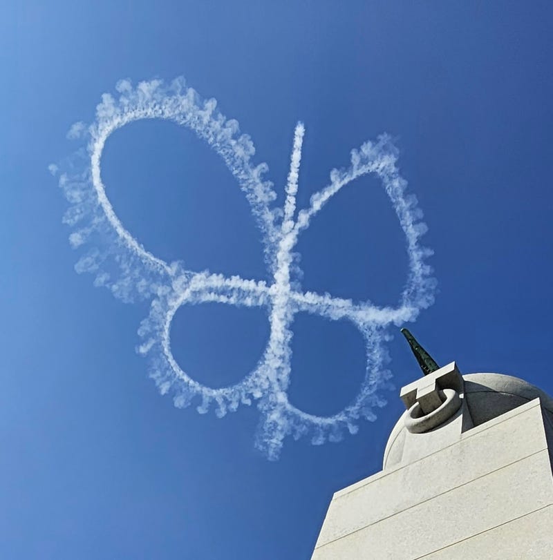 One of pilot Nathan Hammond's ghostwritings