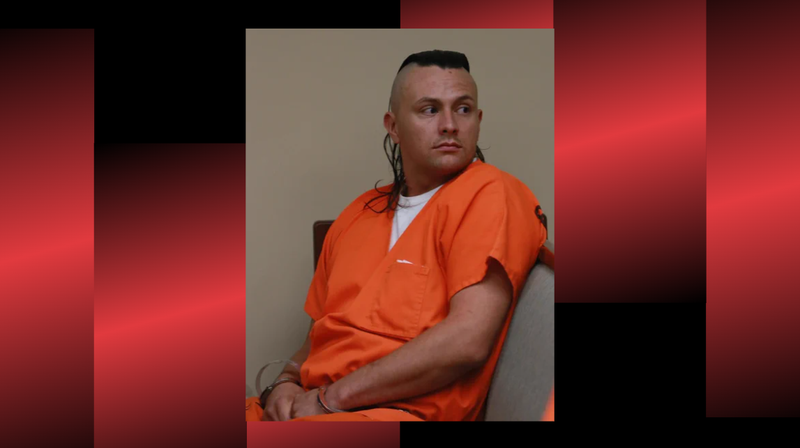 Christopher Michael Paul Jackson, infamously dubbed the "Snake Burglar" for his bizarre habit of slithering around a business before stealing from them, was sentenced on Thursday after pleading guilty to more than 50 counts of felony burglary.