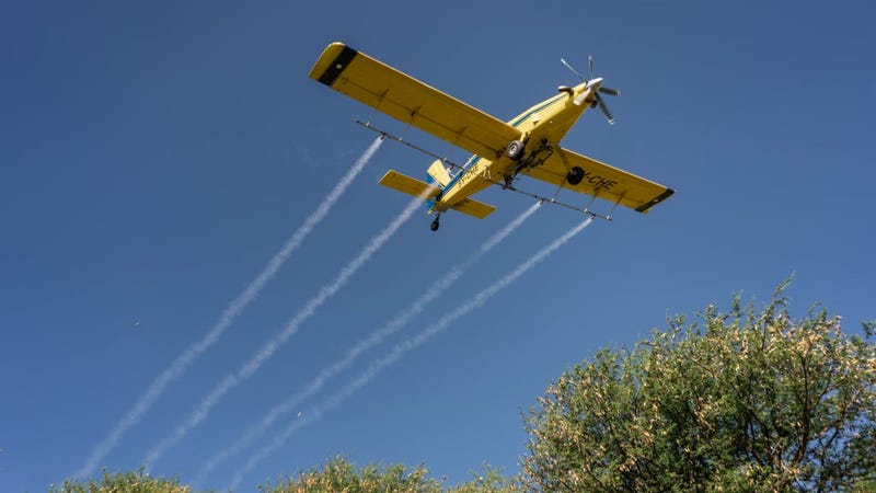 A small airplane fumigates a locust swarm that has been roosting over night on May 23, 2020 in Samburu County, Kenya.