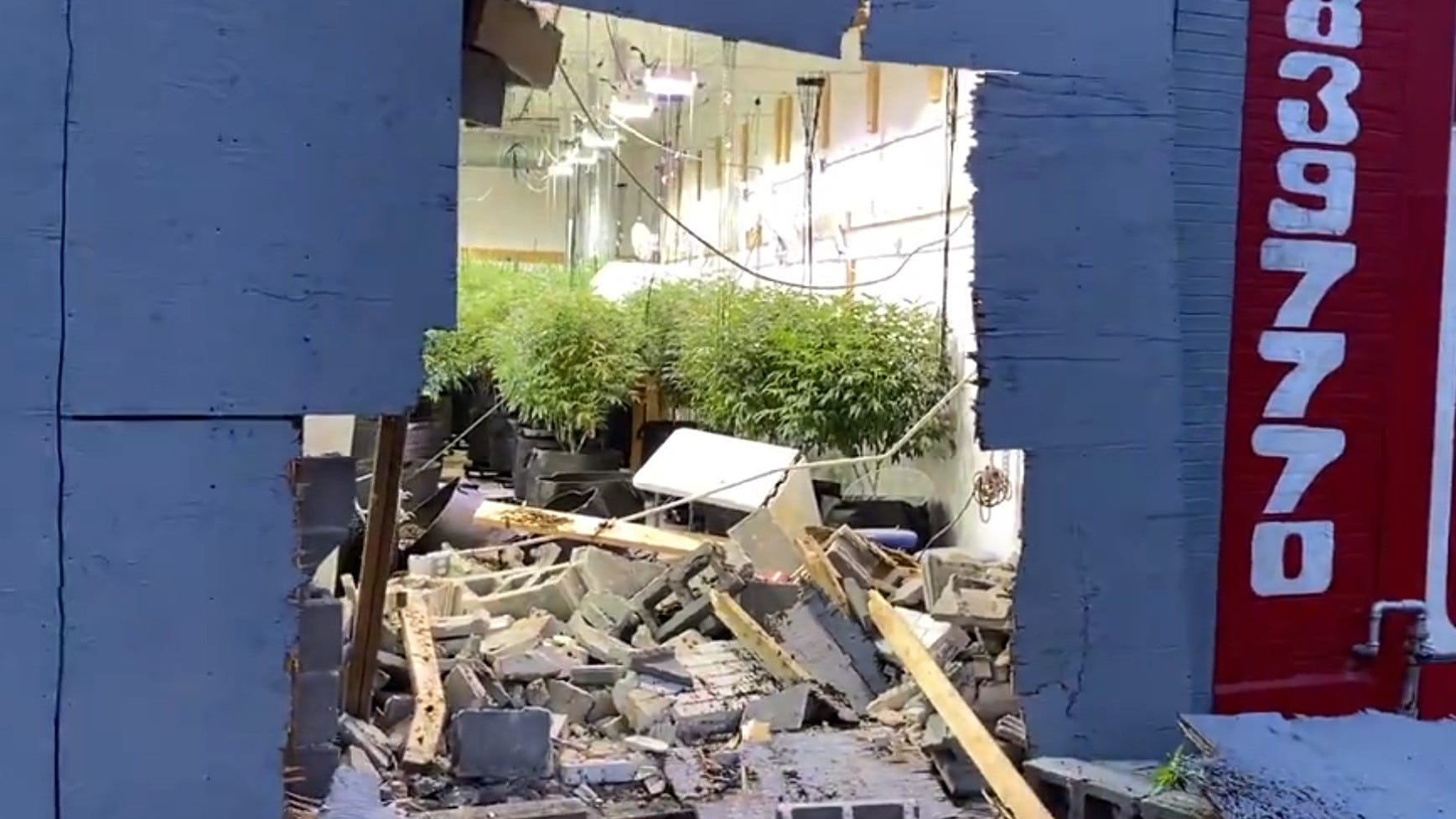Police investigating smash-and-grab at weed operation on Detroit's east side