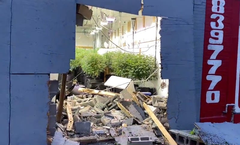 A smash-and-grab on Detroit's east side exposed an apparent marijuana growing operation after the suspects a giant hole was left in the side of the building.
