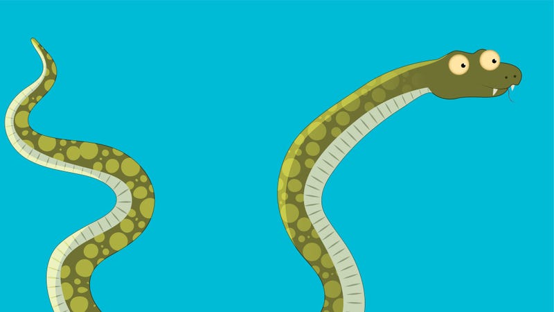 Snake - stock illustration