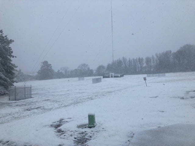 Snowy Scene