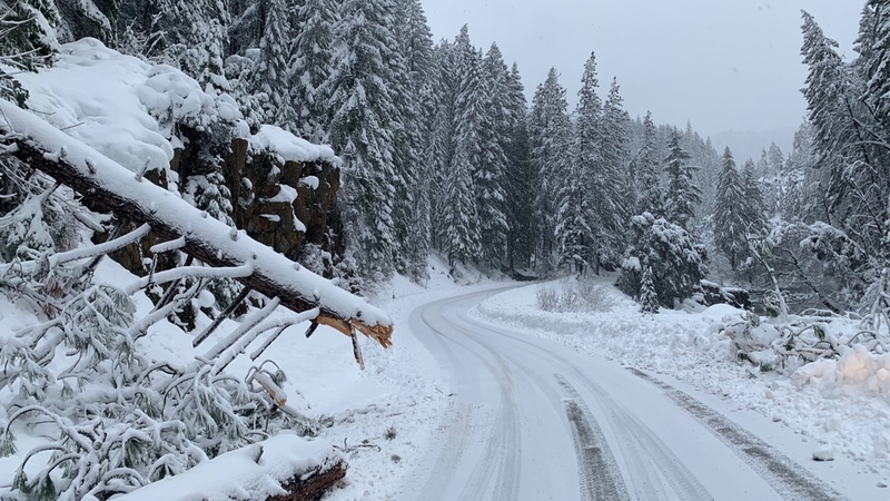 Snow