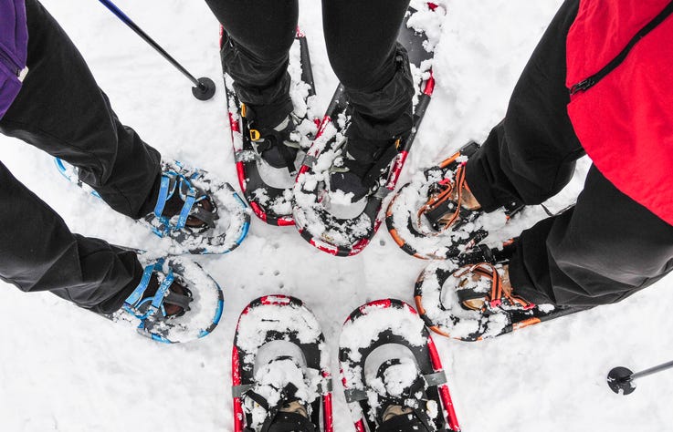 Four sets of feet in snowshoes