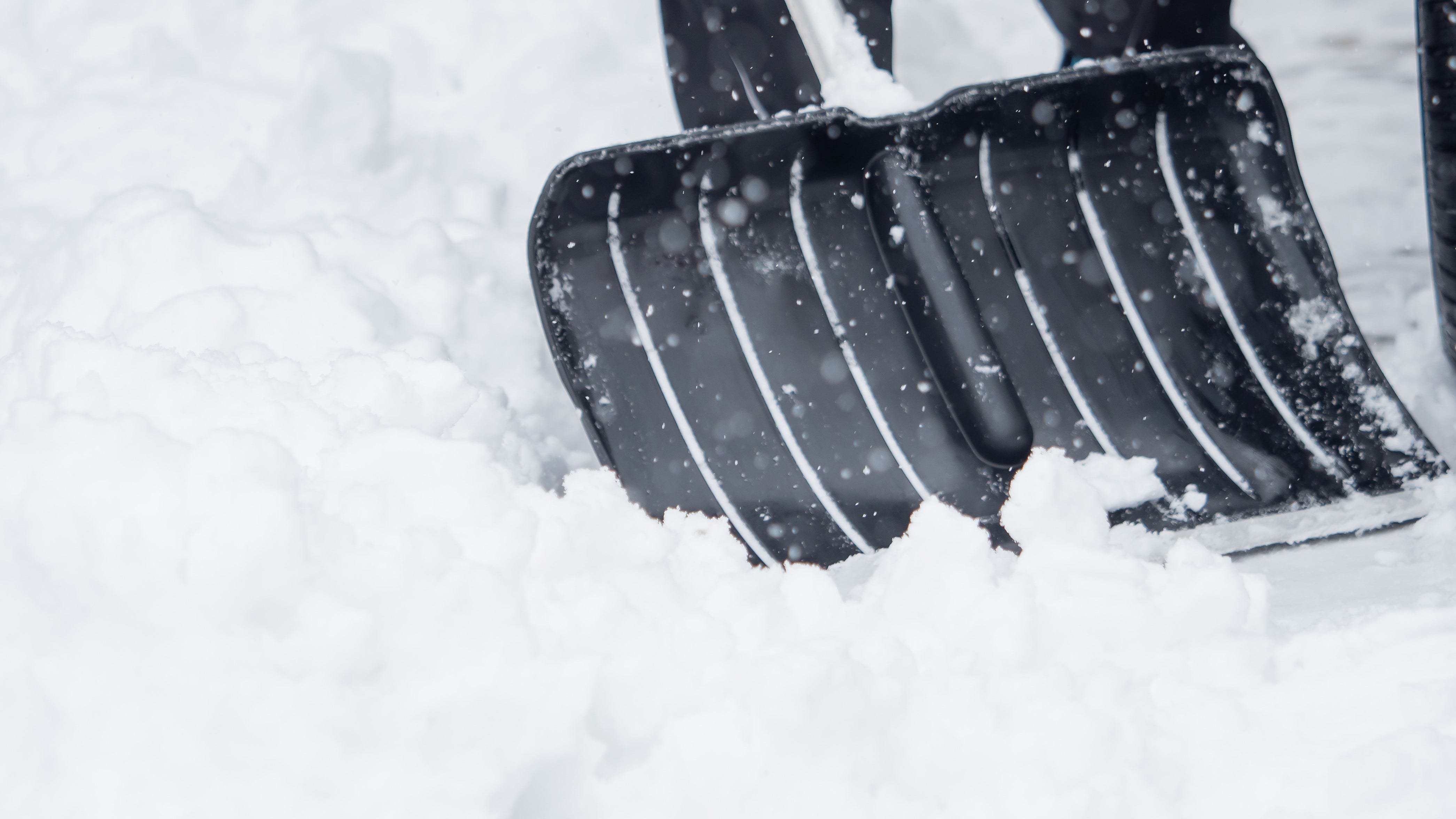 Winter storm drops over eight inches of snow in parts of metro, central Minnesota