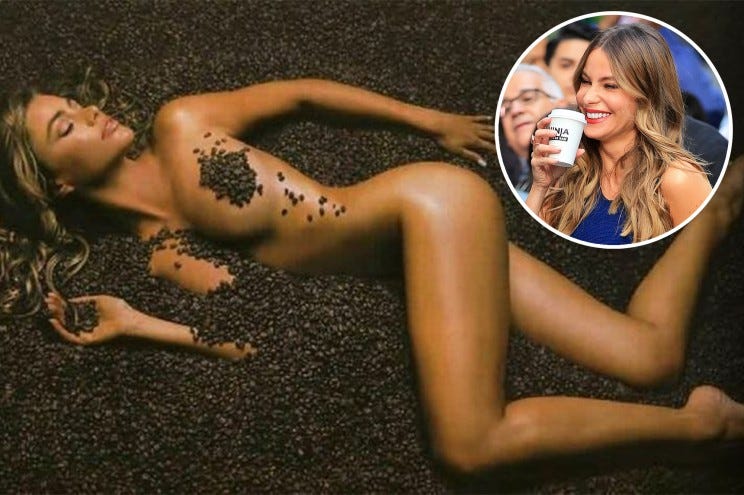 Sofía Vergara's New Picture