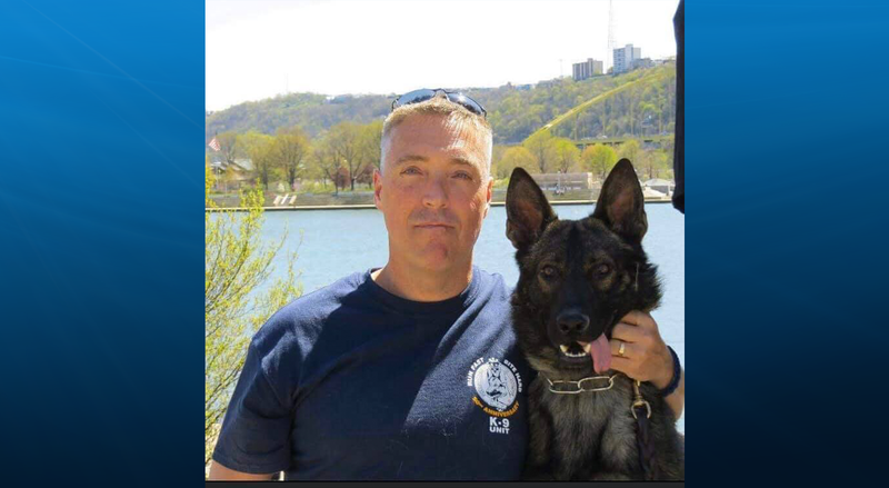 K9-Sonic