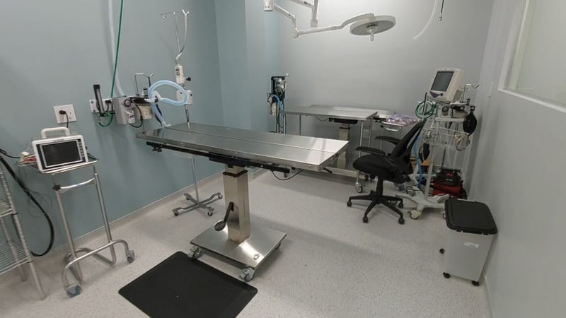 Flatbush Cats spay-neuter surgery suite