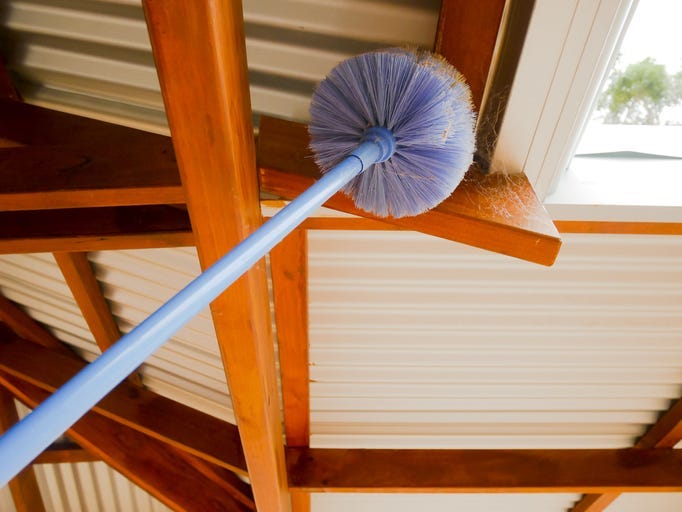spider webs inside house