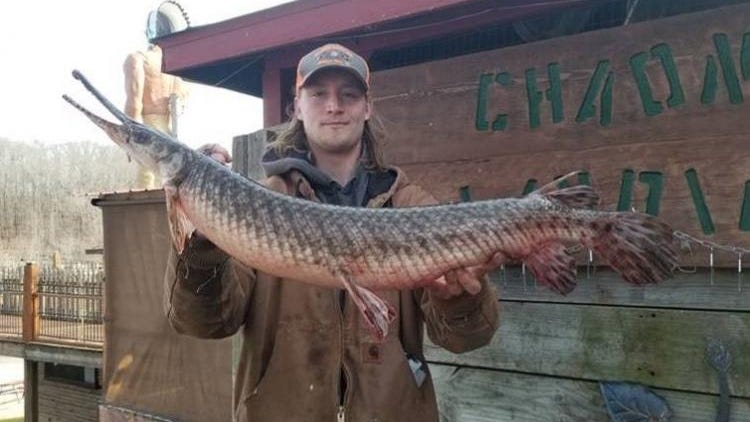 Oh my gar! Angler catches world-record fish in Missouri lake