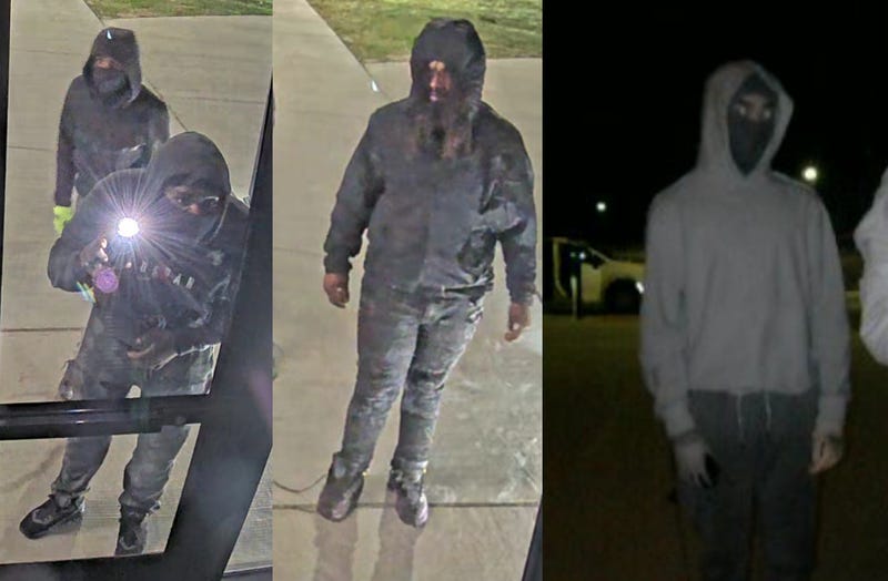 break-in suspects