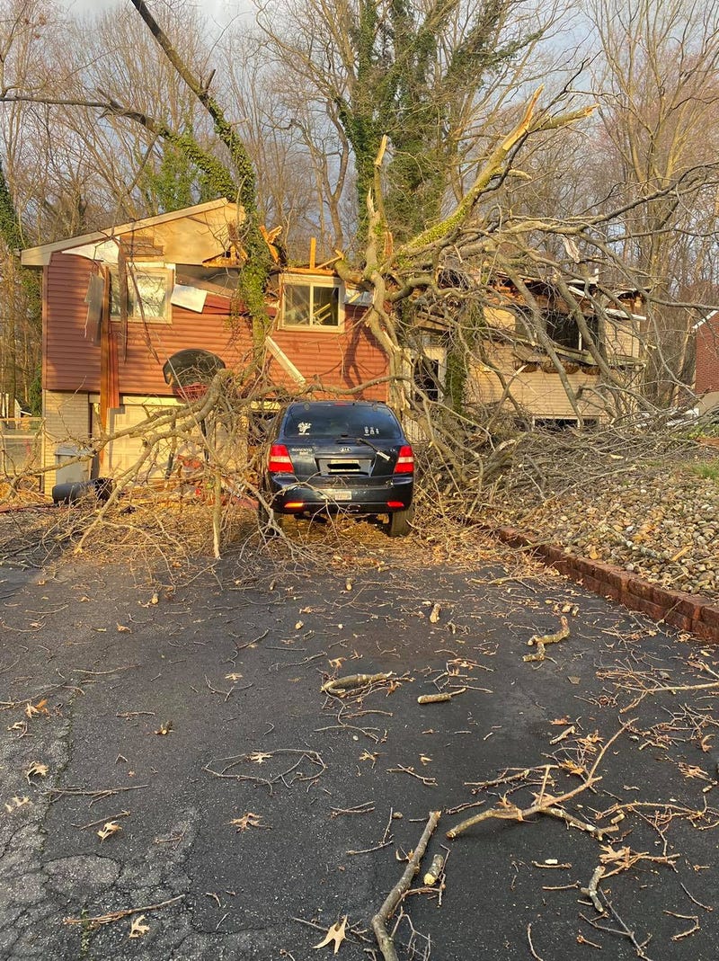 Tree into home