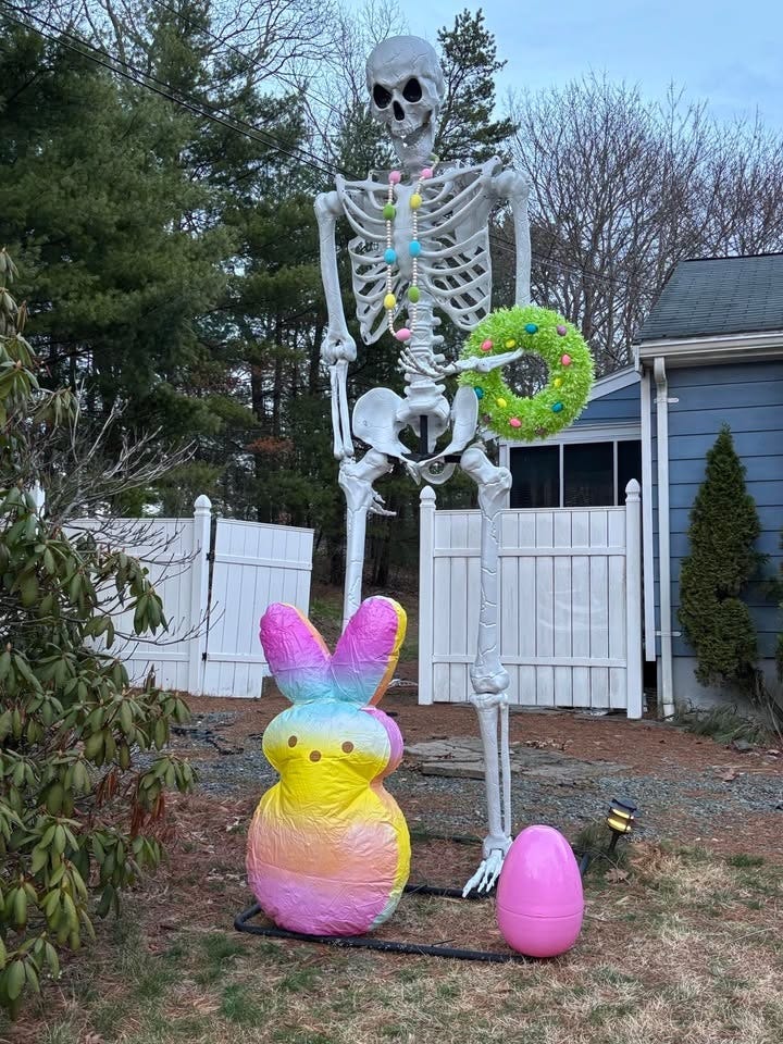 Stacey's Skeletons