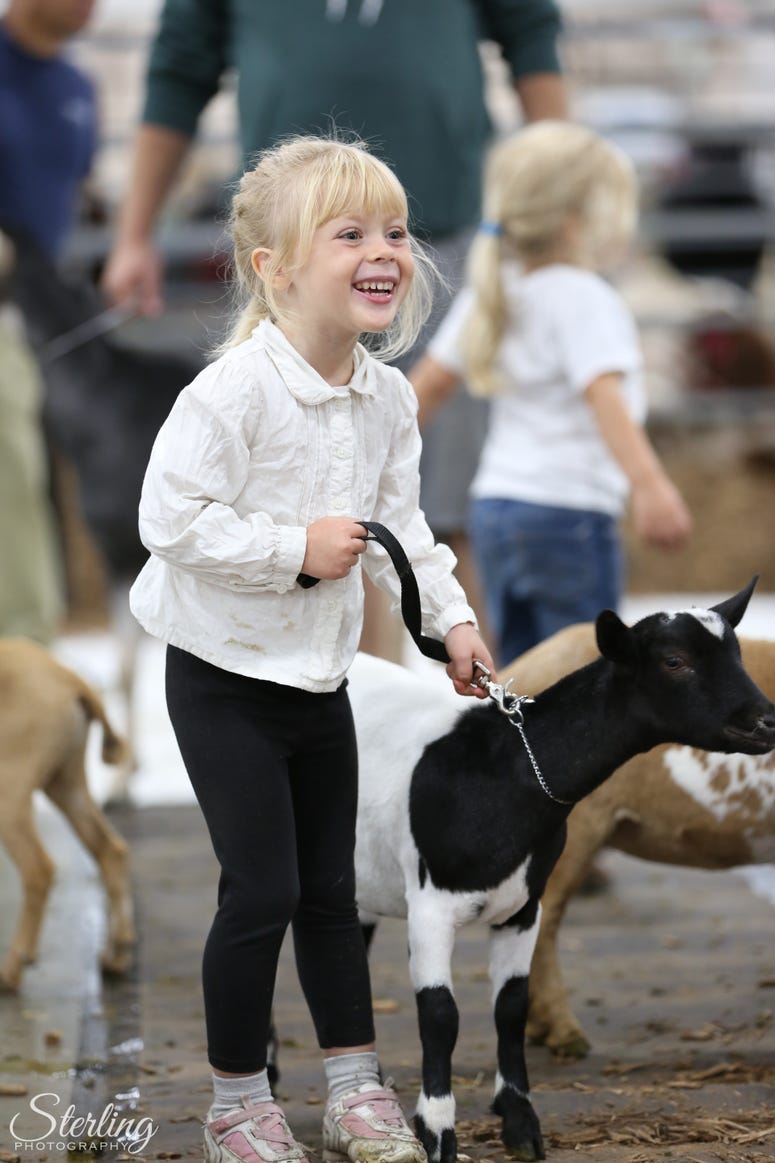 Michigan State Fair