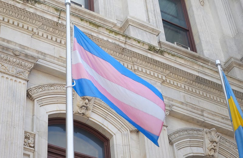 Transgender pride flag