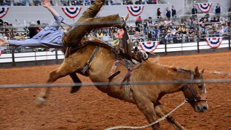 Things To Do Around DFW: Fort Worth Stock Show & Rodeo, Shen Yun, Bridal Shows and more