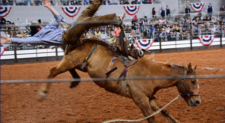 FWSSR