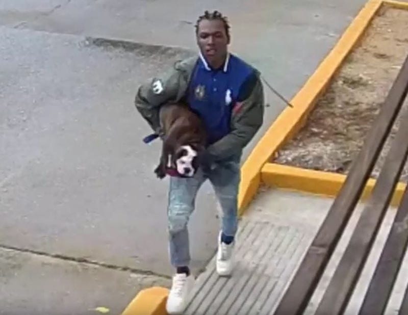 stolen dog