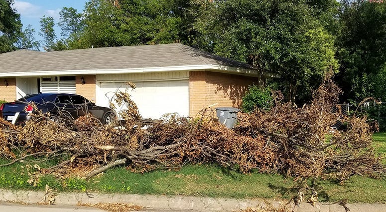 Dallas Storm Debris
