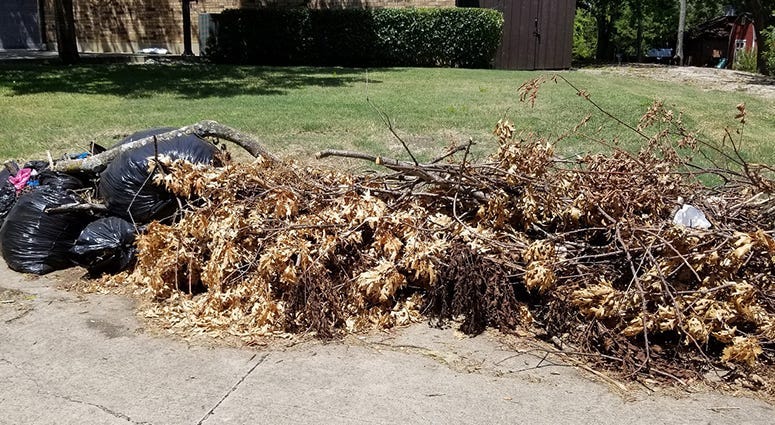 Dallas Storm Debris