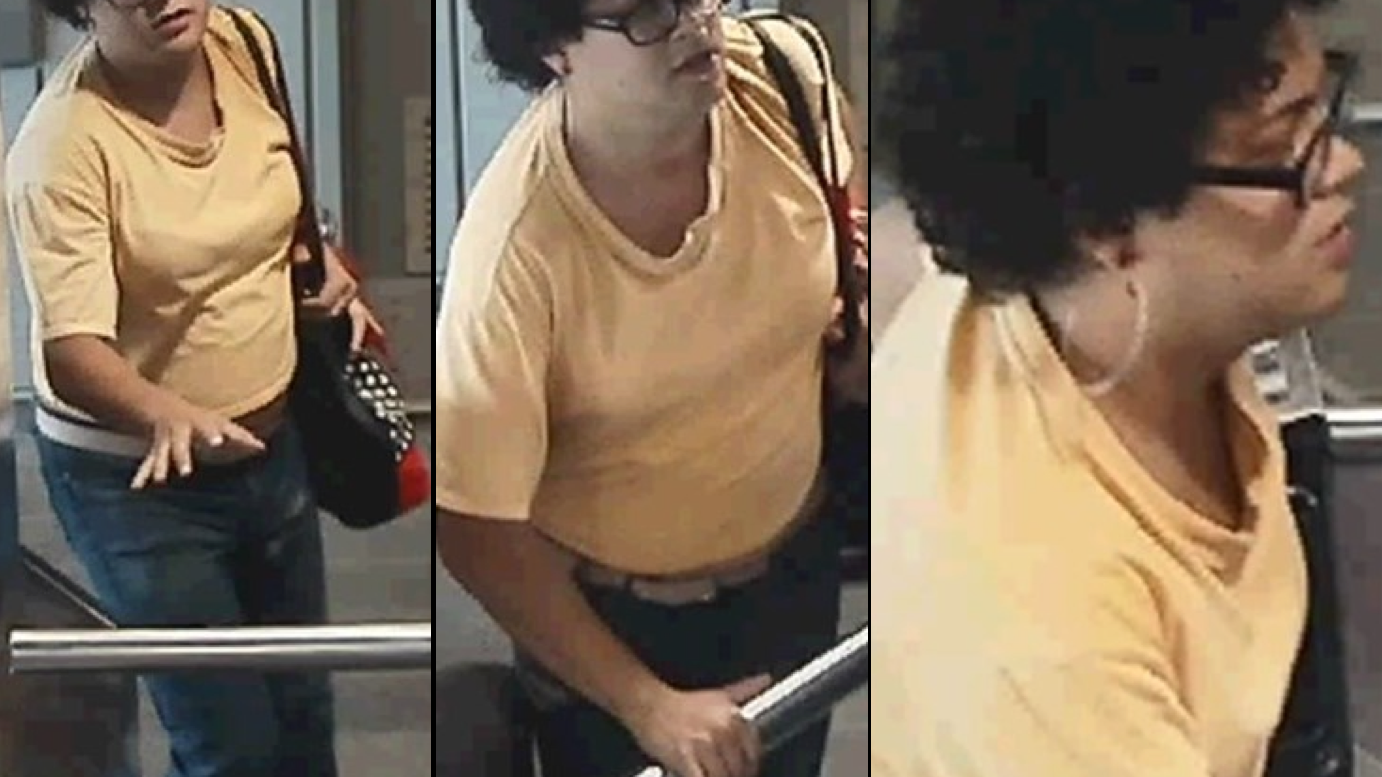 Girl, 16, suffers 'large' wound after Queens subway thief bites, punches, pulls hair