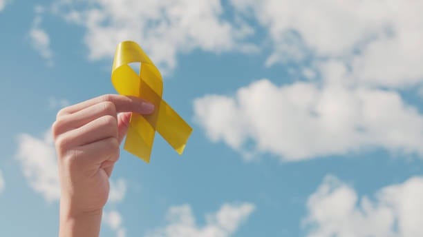 The Department of Veterans Affairs announced today the availability of $52.5 million in grants to community-based organizations that would provide or coordinate suicide prevention services for veterans and their families.