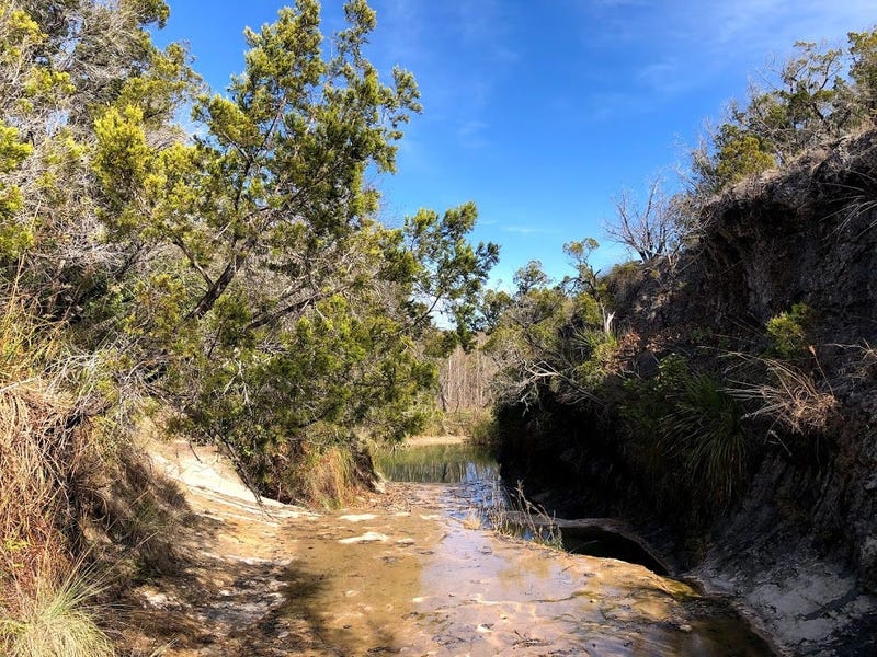 pedernales