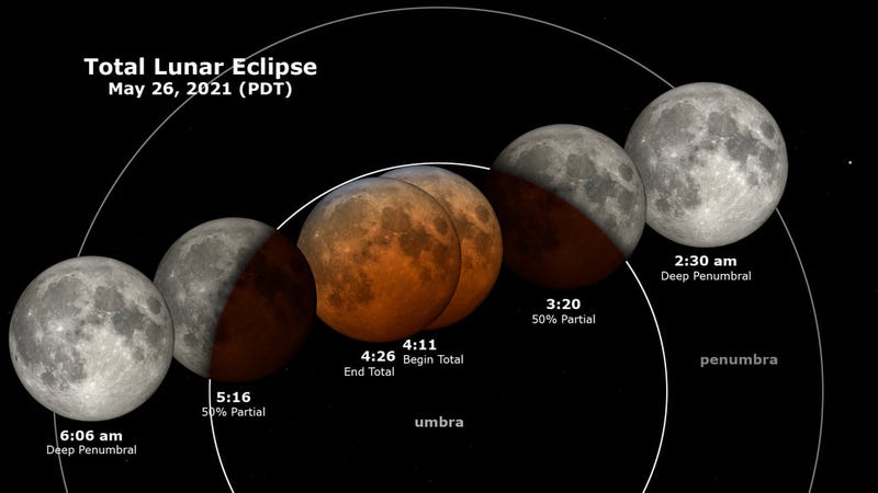A visualization of a rare "super blood moon" event that will be visible over the West Coast, May 26, 2021.