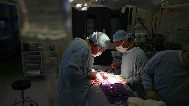 The kidney of Tracey Playfair is implanted in the groin area of her sister by Consultant Surgeon Andrew Ready and his team during a live donor kidney transplant at The Queen Elizabeth Hospital Birmingham on June 9, 2006, in Birmingham, England.