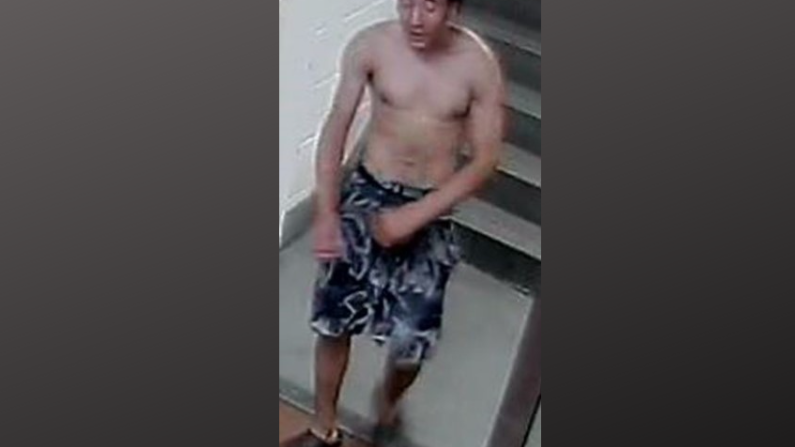 Senior, 72, punched in face in random attack in Chelsea, suspect sought