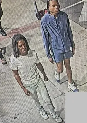 suspects in fireworks shooting