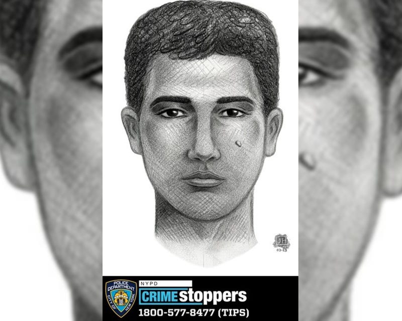 Police circulated a sketch of the man who attacked a woman in Central Park on Thursday.
