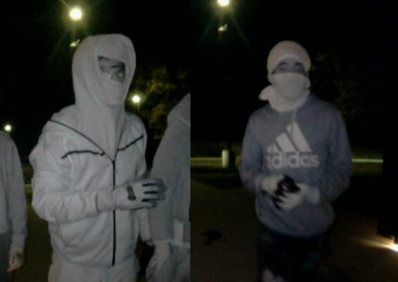 suspects in break-in