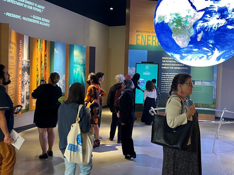 Visitors gathered at new exhibit
