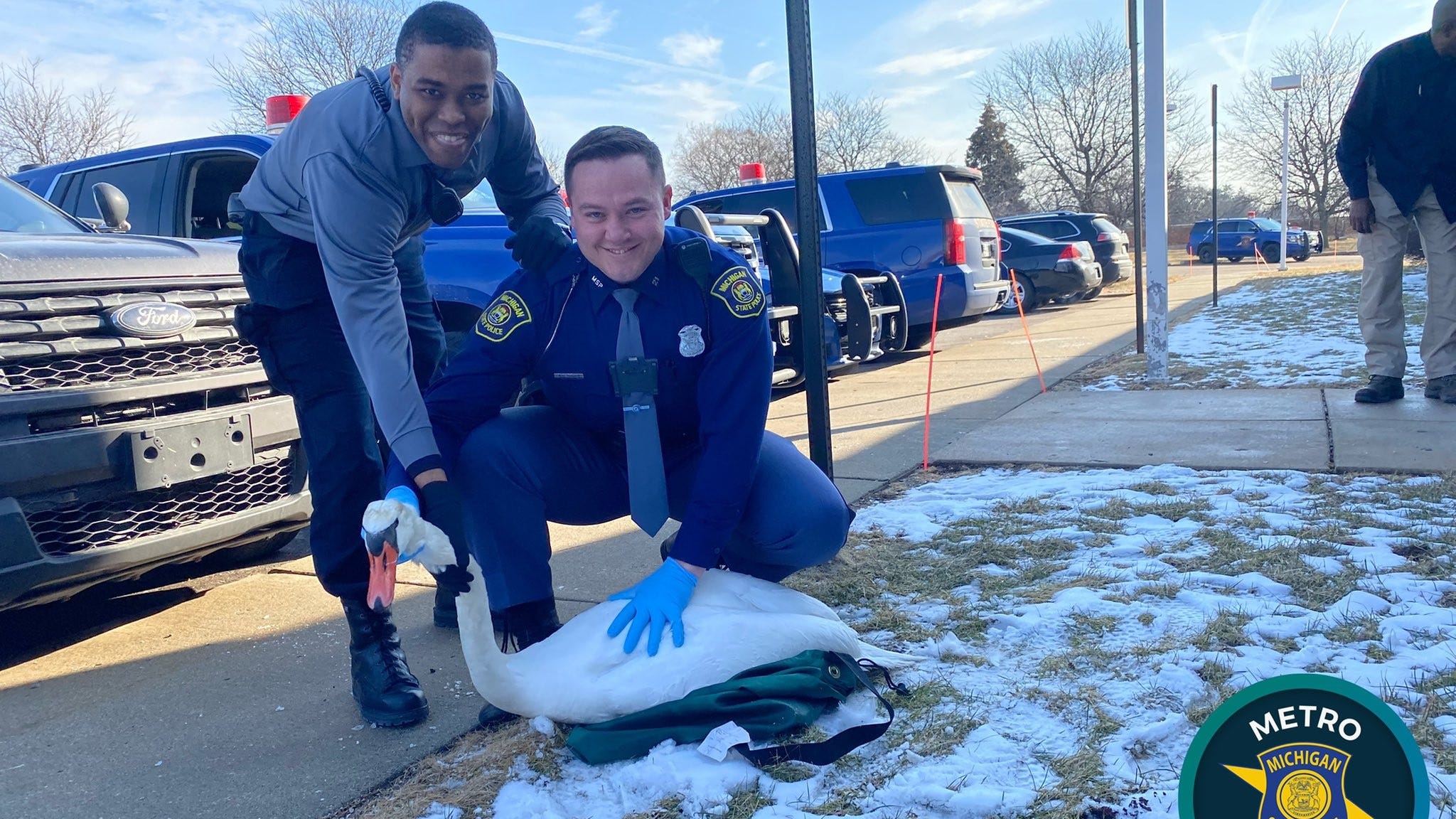 Michigan State Police troopers rescue swan from on I-696 in Oakland County [PHOTOS]
