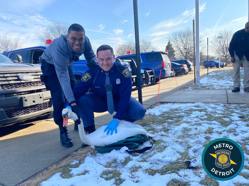 Troopers pose with a swan they rescued from westbound I-696 in Oakland County