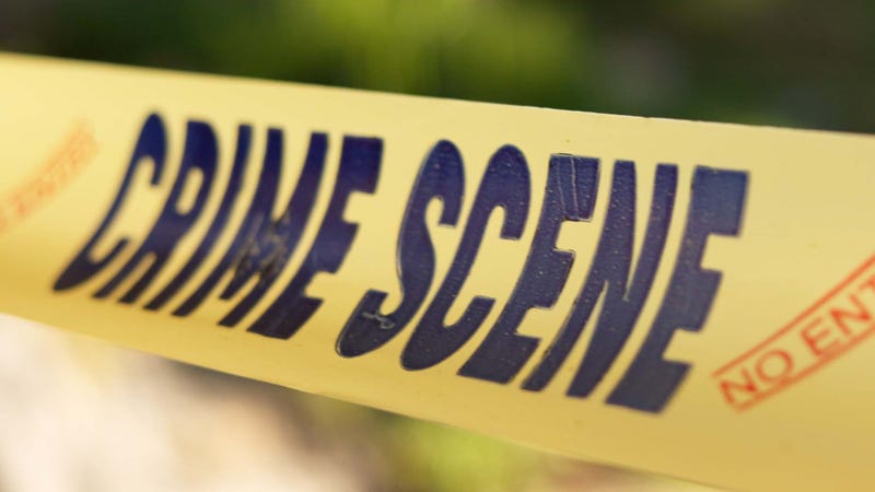 Police, yellow line or crime scene - stock photo