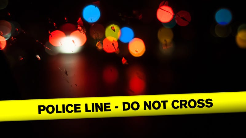 Police Line - Do Not Cross : stock photo
