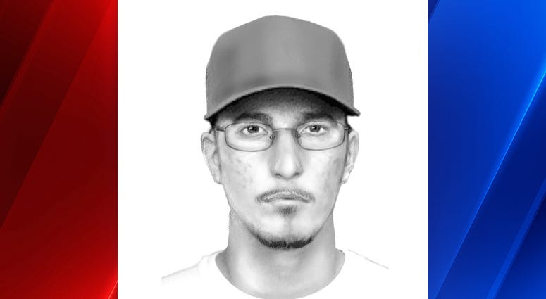 Sketch of hit-and-run suspect