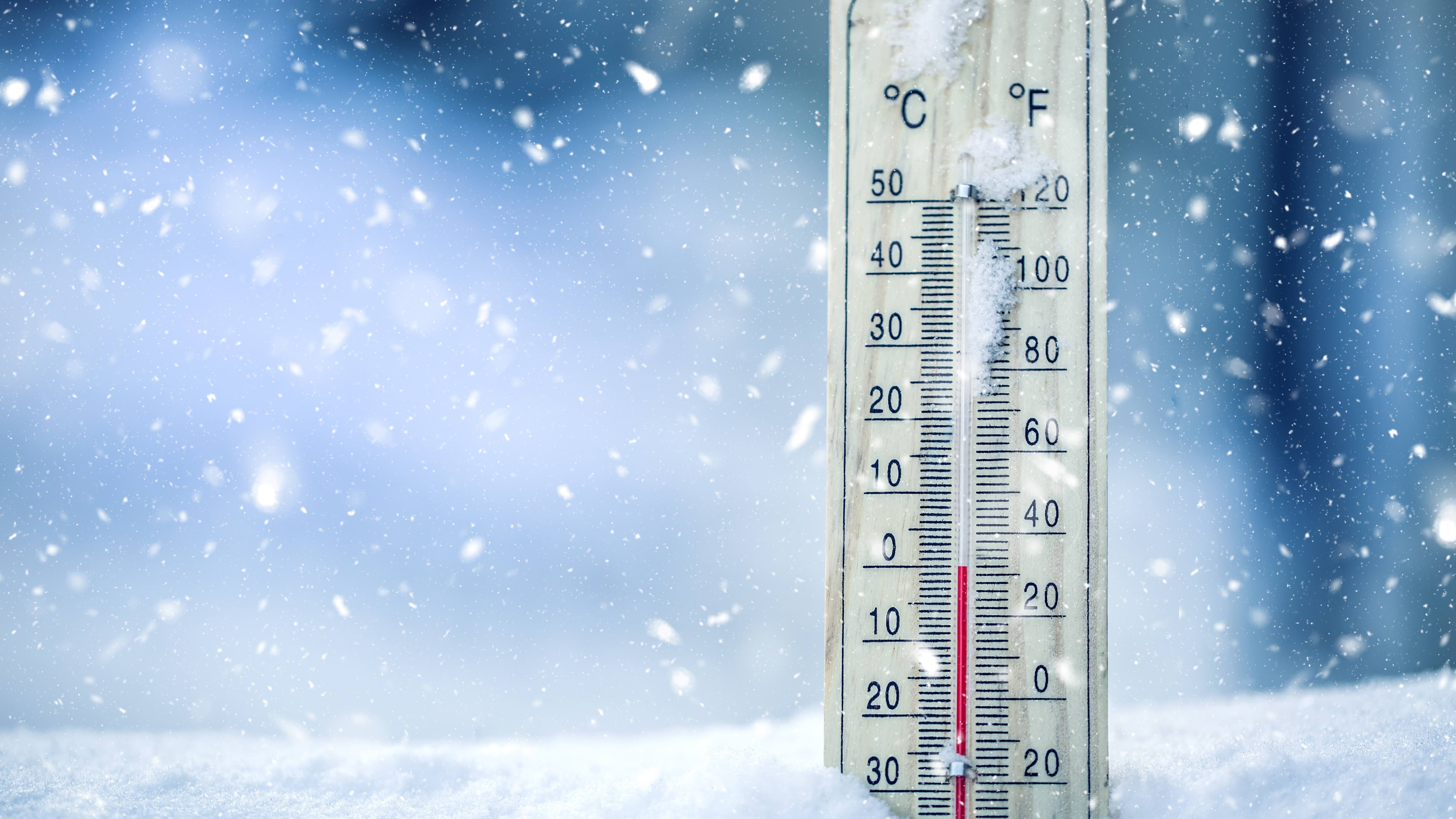 Cook County reports another 8 cold-related deaths, taking total to 22