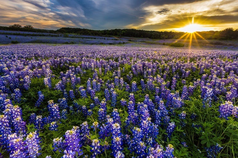 Texas