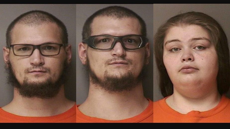 Twin brothers from Northern Michigan among 3 charged with stealing over 200 items across at least 30 home invasions