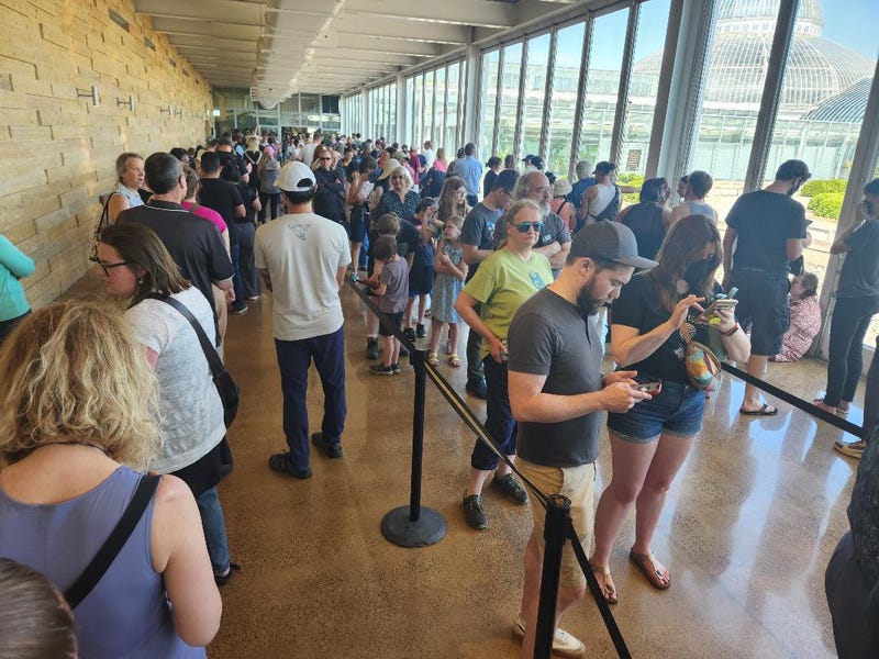 The big line
