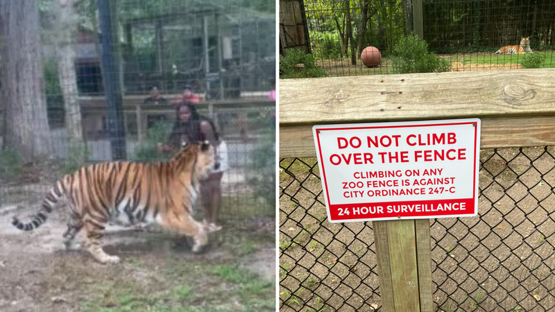 Video: Woman breaches fence, entices tiger at NJ zoo, police say