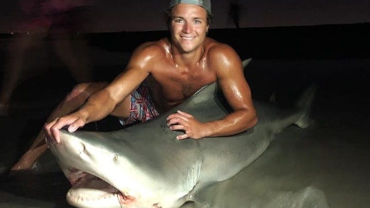 College Student Catches 400-Pound Bull Shark Off Long Island