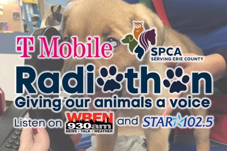SPCA