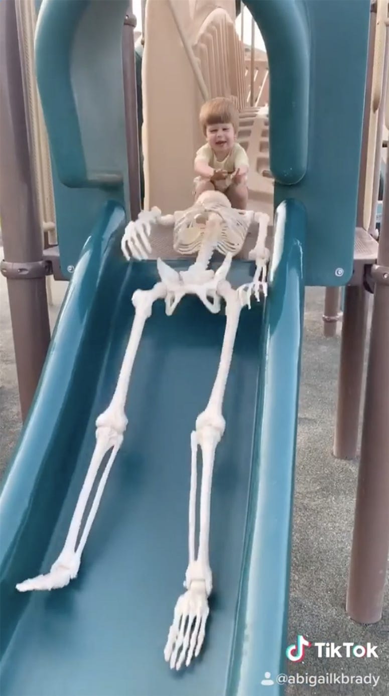 Toy skeleton