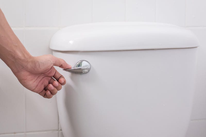 hand press and flush toilet